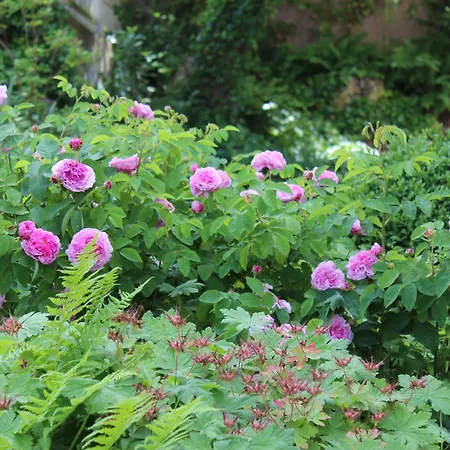 Appartamento Pfeiffer Eisenach