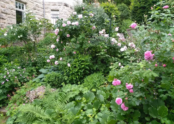 Lejlighed Pfeiffer *